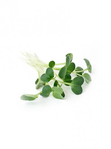 microgreens Urban Greens - Ridiche lastar