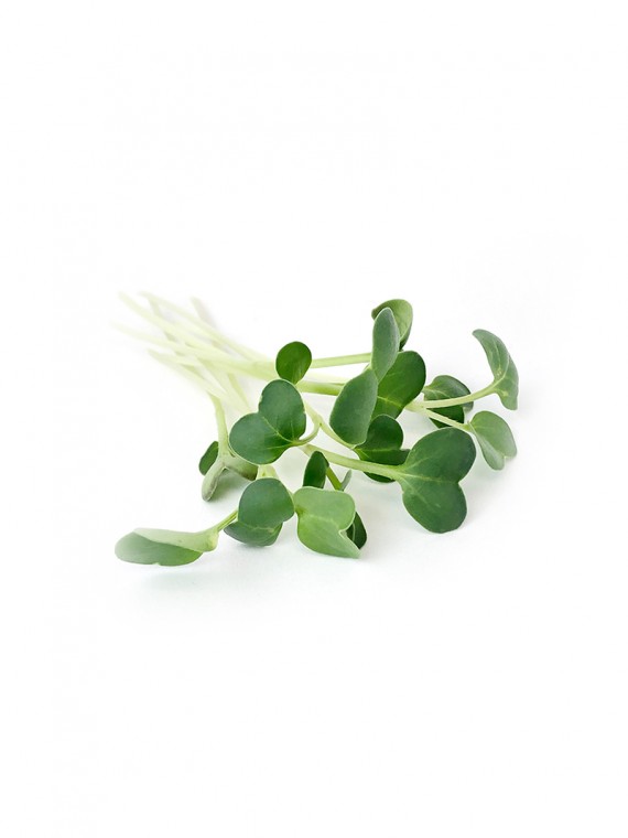 microgreens Urban Greens – Ridiche lastar