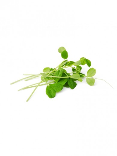 microgreens Urban Greens - mazare lastar